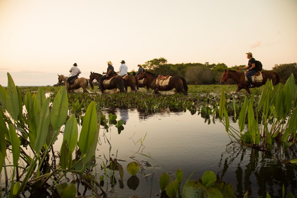 Como funciona o ciclo das águas do Pantanal - Crédito VisitMS