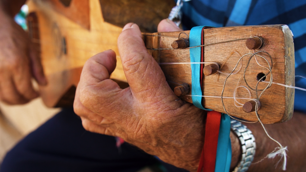 Viola de Cocho - Um veículo tradicional de expressão cultural sul-mato-grossense