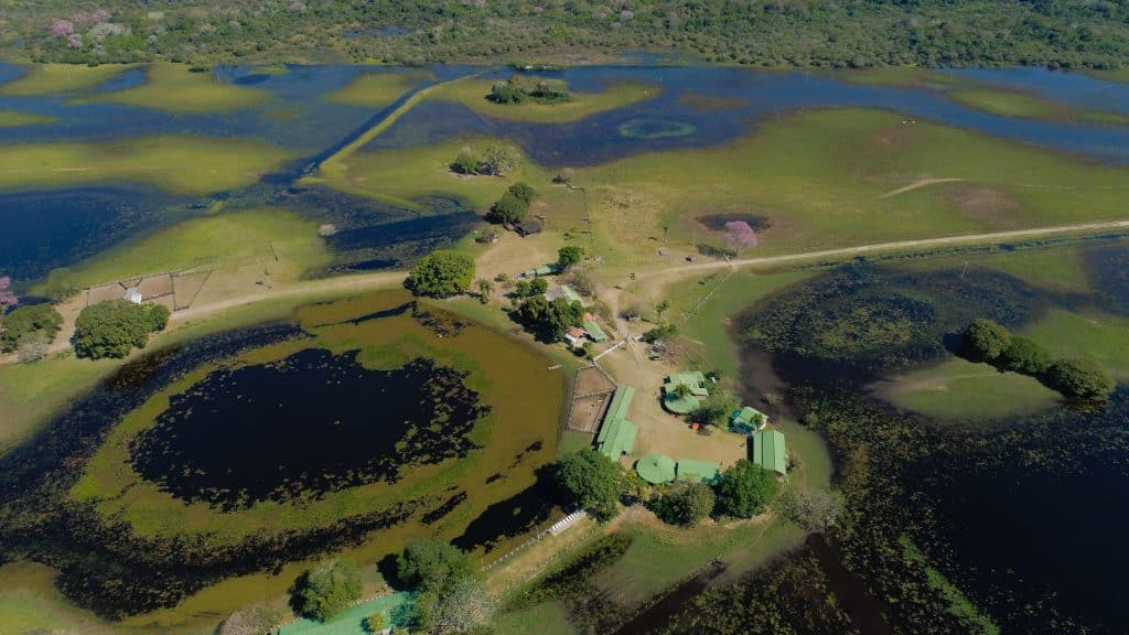 Pantanal: Uma liderança da biodiversidade brasileira