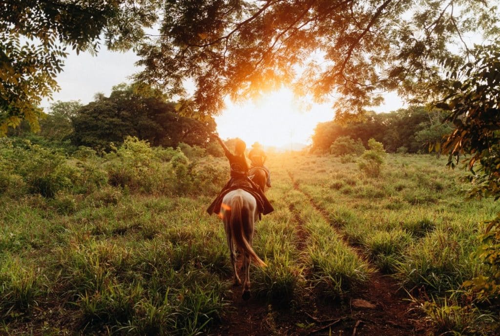 A essência do Pantanal em vivências e produtos culturais e ambientais