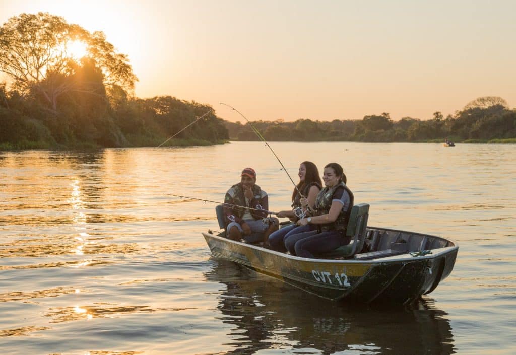 Pantanal: Uma liderança da biodiversidade brasileira