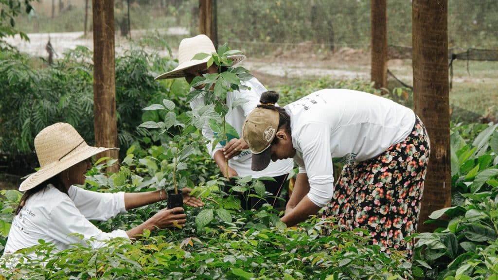 MuPan: Empoderando mulheres e transformando o Pantanal