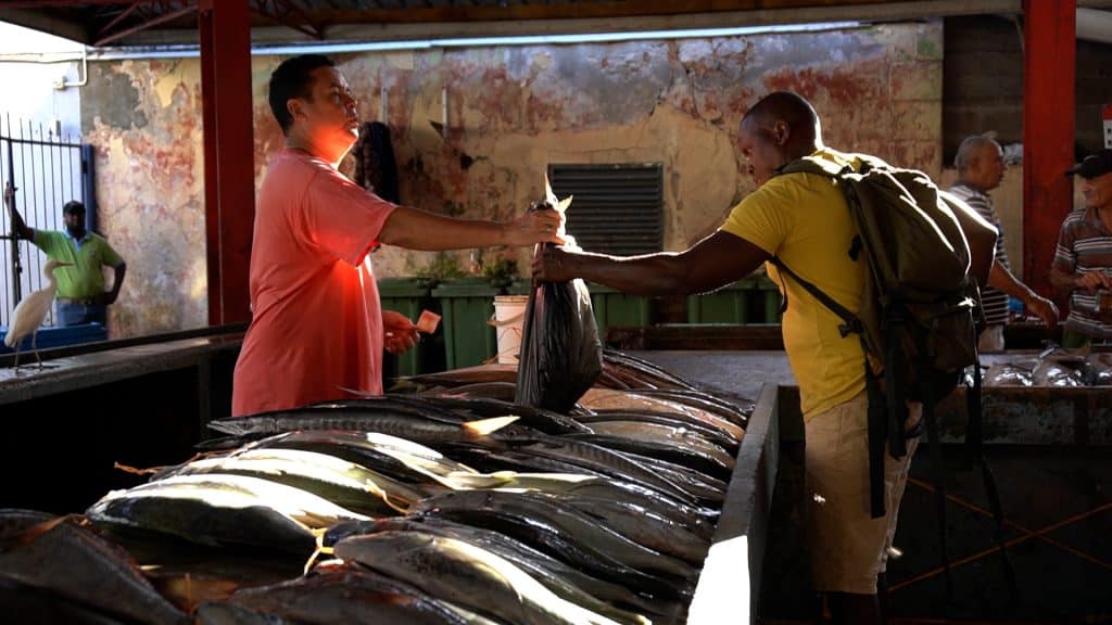 Seychelles lança terceiro episódio do documentário série “Soul of the Ocean”