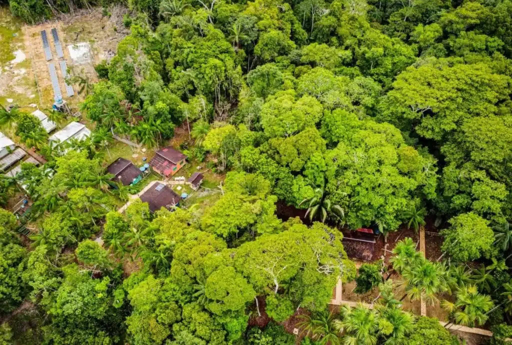 Energia sustentável na Amazônia – ransformação e impacto social