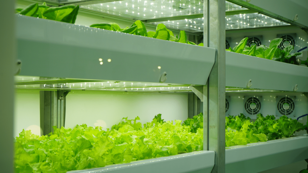 Tecnologia verde: a inovação e a preservação caminham juntas