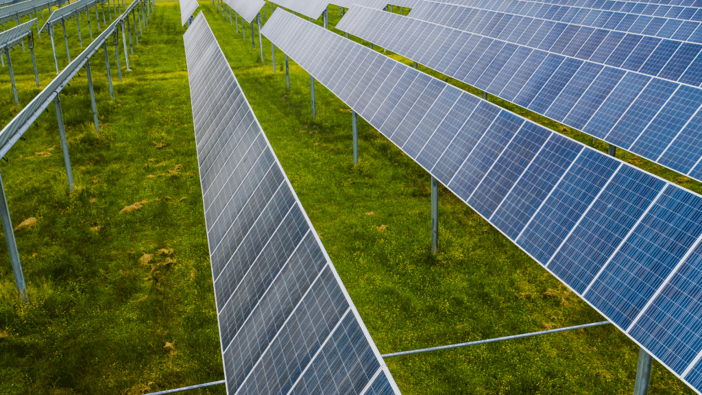 Tecnologia verde: a inovação e a preservação caminham juntas