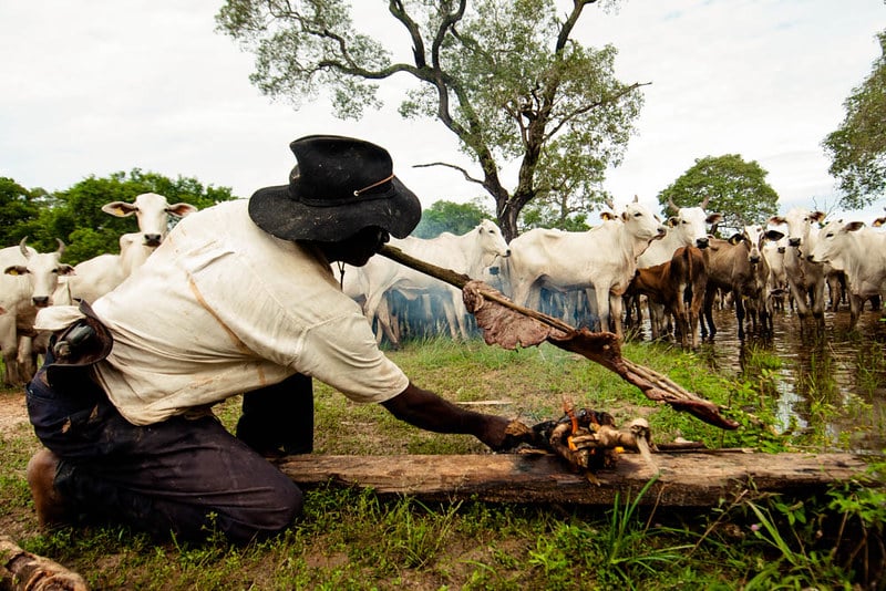A diversidade do Brasil – regado por história e resistência
